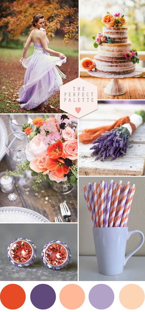 Autumn Sunlight: Peach and Lavender http://www.theperfectpalette.com/2014/10/autumn-sunlight-peach-and-lavender.html November Wedding, August Wedding, July Wedding, Wedding Palette, Orange Wedding, Peach Wedding, Fall Wedding Colors, Wedding Color Palette, Lavender Wedding