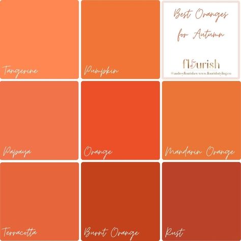 Deep Autumn Palette, Autumn Color Palette Fashion, Warm Fall Outfits, Deep Autumn Color Palette, Color Mixing Chart, True Winter, Deep Autumn, Seasonal Color Analysis, Dark Autumn