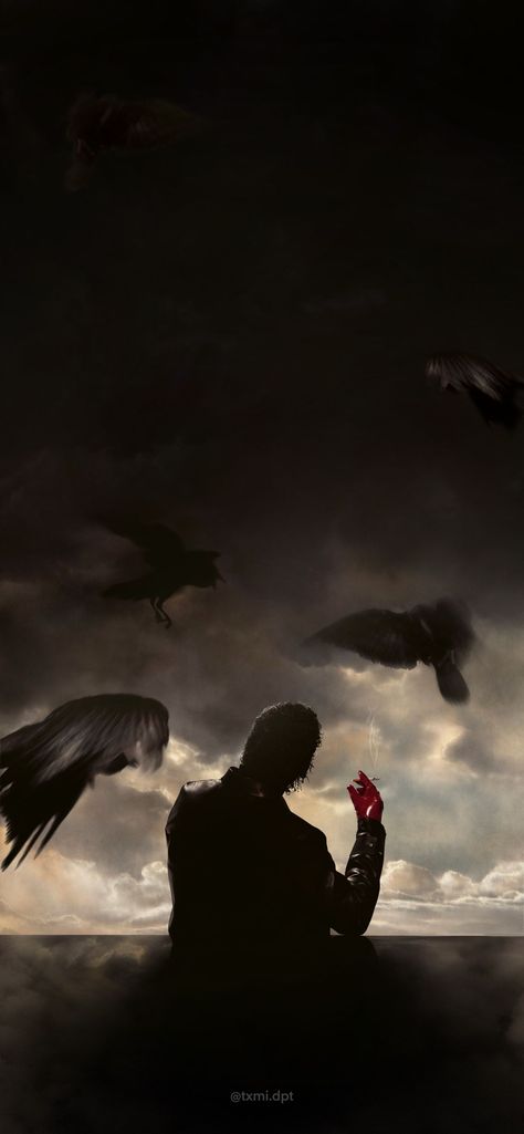 album de laylow, l'étrange histoire de mr.anderson, album, une histoire étrange, mercy, bird, raptor, silhouette, pigeon, sunset, vulture, crow, eagle, fly, action Raptor Silhouette, Lighting Wallpaper, Rap Us, Rap Album Covers, Rap Fr, Rap Albums, Rap Wallpaper, Cover Wallpaper, Music Covers