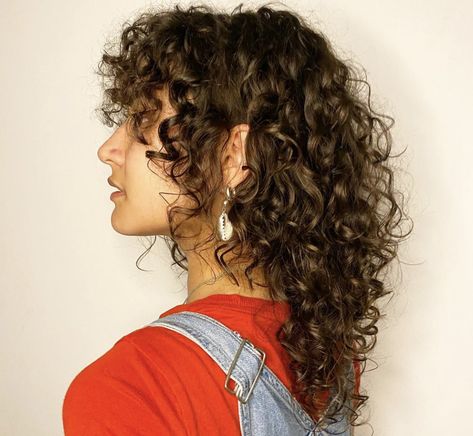 Curly Shag Back View, Curly Layered Mullet, Shag Mullet Curly Hair Long, Haircuts For Short Curly Hair For Women, Women’s Curly Mullet, Curly Shag 3b, Haircut Fine Curly Hair, Long Haired Shag, Grown Out Curly Mullet