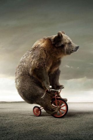 circus bear Bgm Music, Red Tricycle, Funny Bears, Circus Theme, Vintage Circus, Love Bear, Bear Wallpaper, Happy Thursday, Cute Bear