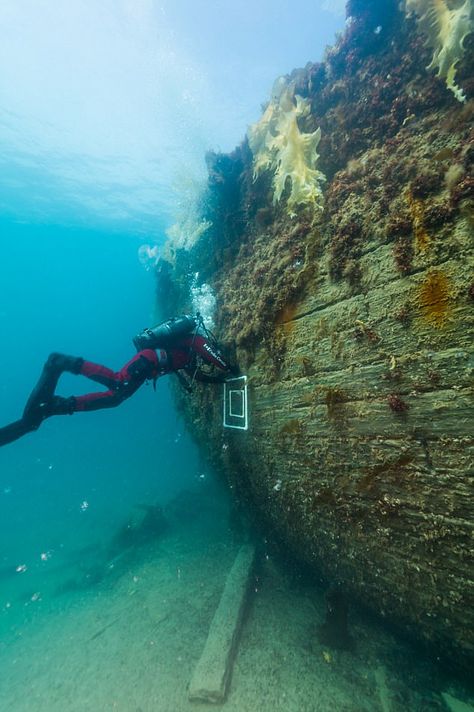 Hms Erebus, Marine Archaeology, Franklin Expedition, Fauna Marina, Under The Water, Archaeology News, Parks Canada, Ghost Ship, Frozen In Time