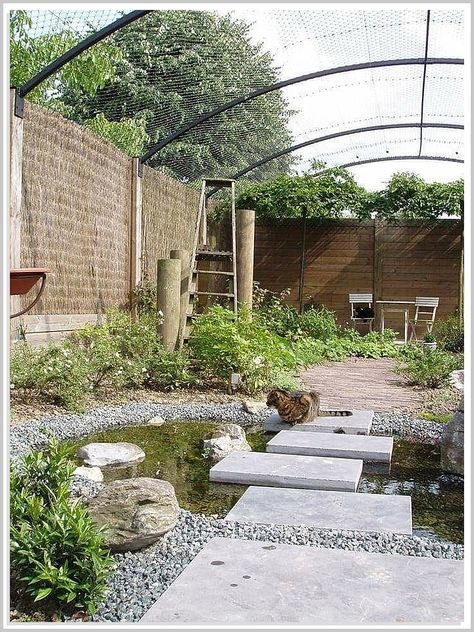 Looking for the perfect outdoor cat enclosure? Look no further than Nice enclosures! Our cat enclosures are built to last, and come in a variety of styles to fit any backyard. Cat House Design, Cat House Outdoor, Catio Ideas, Cat Habitat, Ideas For Cats, Outdoor Pet Enclosure, Cat Playground Outdoor, Ideas For House, Garden Fence Ideas