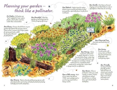 What do you need to know before planning your garden… 

Respect for all types of species🫶 Pollinator Garden Design, Native Plant Garden, Bee Friendly Garden, Habitat Garden, Pollinator Plants, Native Plant Gardening, Wildlife Garden, Hummingbird Garden, Bee Garden