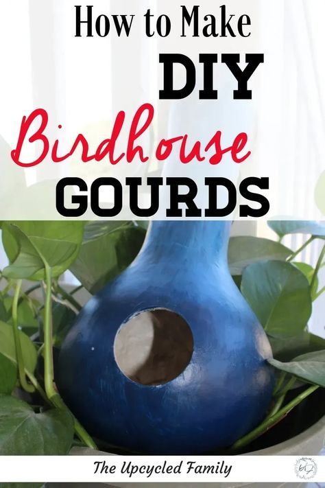 Love the idea of using nature for arts and crafts? How to Make birdhouse gourds. This easily grown gourd becomes an even easier to make wildlife loving birdhouse. #birdhousegourds #ideas #DIY #crafts #fun #home #gourds #painted #birdhouses #sustainability #projects #homemadebirdhouses #gourdbirdhouses #gourdbirdhousesDIY How To Make A Gourd Birdhouse, How To Make Bird Houses Out Of Gourds, Painting Birdhouse Gourds, Gords Crafts Diy, Gourd Birdhouse Ideas, Birdhouse Gourds Ideas, Growing Gourds, Gourds Painted, Painting Gourds