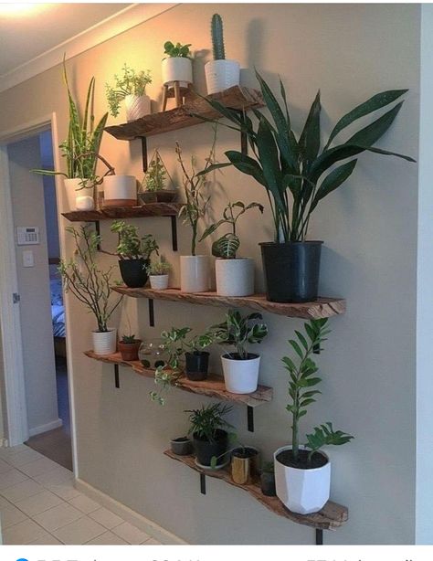 Decor Floating Shelves, Indoor Plant Wall, نباتات منزلية, Living Room Plants, Dekor Diy, Inside Plants, Bedroom Plants, Plant Decor Indoor, House Plants Decor