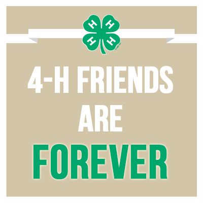 4-H has had an irreplaceable impact on my life. 4 H Quotes, 4-h Poster Ideas, Toy Story Quotes, 4 H Clover, 4h Project Ideas, 4h Projects, 4 H Projects, 4 H Club, Showing Livestock