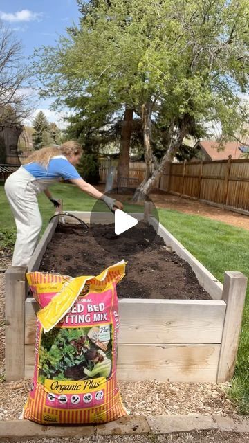 Kelly Radcliff / Lazy Girl’s Garden Club/ Zinnia Lover on Instagram: "I wish I had known this earlier so I’m sharing it with you!!! 👩‍🌾You must amend your soil. I did this before I planted my zinnia seeds in my raised beds. This just means to improve its quality and nutrient content to create an optimal growing environment for your flowers! To prepare my soil I cleaned out the old debris, mixed in some all natural raised bed and potting mix that was organic and gave it a good watering. That’s it! Make sure to grab my free zinnia zone guide linked in my bio above! #amendyoursoil #raisedflowerbeds #raisedflowerbedtips #soiltips #zinnia #zinniasofinstagram #zinniasfromseed #gardenhack #gardentips #growflowers #cutflowergarden" Raised Zinnia Beds, Zinnia Seeds, Raised Flower Beds, Cut Flower Garden, Lazy Girl, Garden Club, Raised Bed, Growing Flowers, I Wish I Had