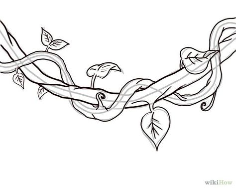 How to Draw a Jungle Vine: 7 Steps - wikiHow Jungle Drawing, Branch Drawing, Vine Drawing, Jungle Tree, Jungle Flowers, Vine Tattoos, Jungle Art, 타이포그래피 포스터 디자인, Hanging Vines