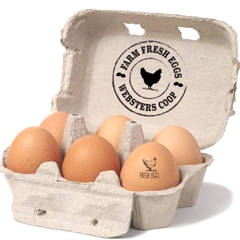 Backyard Chicken Coop, Urban Chicken Farming, Best Egg Laying Chickens, Egg Stamp, Chicken Logo, Egg Packaging, Funny Eggs, Egg Laying Chickens, Chicken Lover Gifts