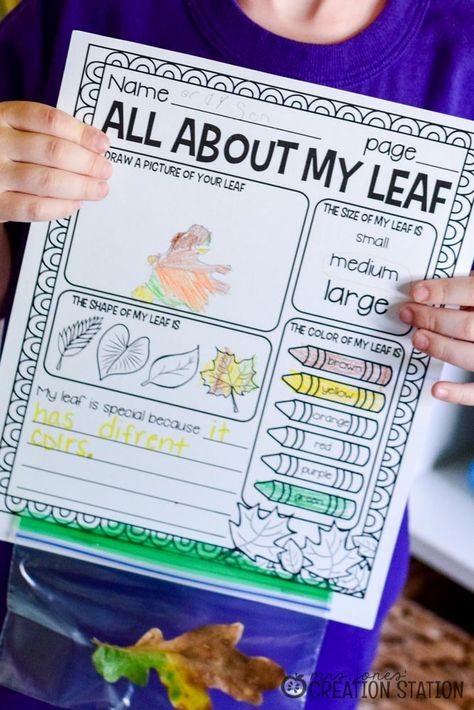 All About My Leaf Science Activity All About Me Fall Theme, Leaf Science Experiments Preschool, Leaf Activities Kindergarten, 1st Grade Autumn Activities, Science Leaf Activities Preschool, Fall Theme Writing Activities Preschool, Leaf Man Activities Preschool, All About My Leaf Printable, Leaf Activities