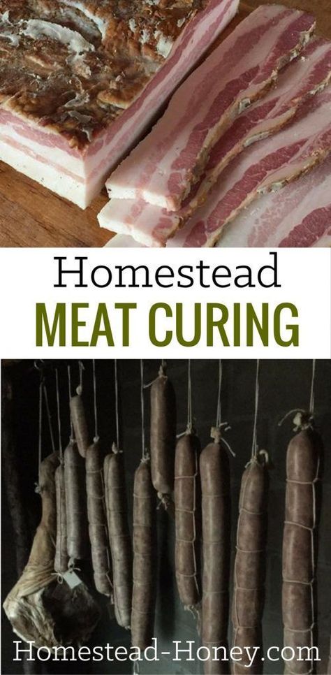 Homestead Meat Curing :: Preserving Meat with Traditional Methods | Homestead Honey Preserve Meat, Preserving Meat, Meat Curing, Cured Meat Recipes, Canning Food Preservation, Homemade Sausage, How To Make Sausage, Dehydrated Food, Processed Meat