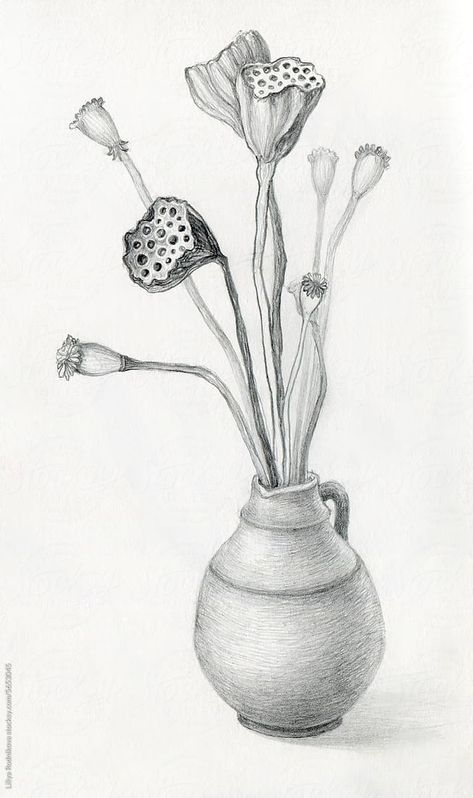 "Hand Drawn Vase With Dried Flowers" by Stocksy Contributor "Liliya Rodnikova" - Stocksy Vase With Dried Flowers, Dried Flowers, Hand Drawn, Royalty Free Stock Photos, Royalty Free, How To Draw Hands, Vase, Illustrations, Flowers