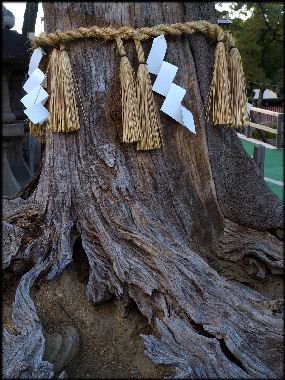 Japan Graveyard, Japanese Graveyard, Japanese Shrines, Sacred Groves, Japanese Shrine, Japanese Tea Garden, Japanese Style House, Rice Paddy, About Japan