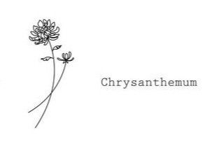 Simple Chrysanthemum Tattoo, Tattoo 2022, Luna Tattoo, Chrysanthemum Tattoo, Family Tattoo, Small Pretty Tattoos, Birth Flower Tattoos, Geniale Tattoos, Family Tattoos