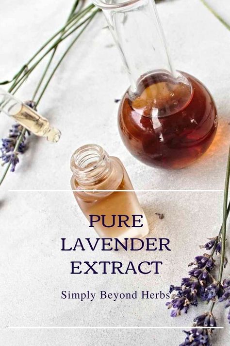 lavender extract, lavender tincture Recipes With Lavender, Lavender Varieties, Orange Extract, Lavender Recipes, Recipes For The Whole Family, Diy Cream, Lavender Spray, Lavender Extract, Herbal Recipes