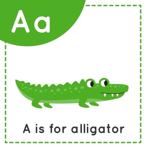 Learning Letter A, English Alphabet For Kids, A For Alligator, A Is For Alligator, Cartoon Alligator, Abc Animals, Alphabet Flash Cards Printable, Education Cartoon, Classroom Banner