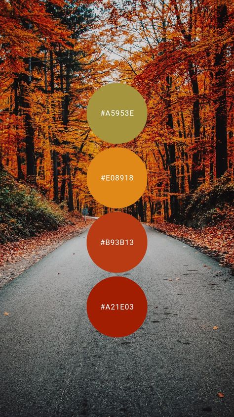 #colourpalette #colorpalette #colour #color #palette #autumn #fall #green #red #orange #yellow Red Yellow Green Palette, Fall Yellow Color Palette, Yellow Fall Color Palette, Red Orange Yellow Green Color Palette, Red Yellow Green Color Palette, Red Green Yellow Color Palette, October Palette, October Color Palette, Colour Palette Autumn