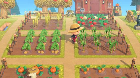 Farming Guide, Crop Farming, Animals Crossing, Ac New Leaf, Animal Crossing Guide, Animal Crossing Wild World, Path Design, Garden Animals, New Animal Crossing