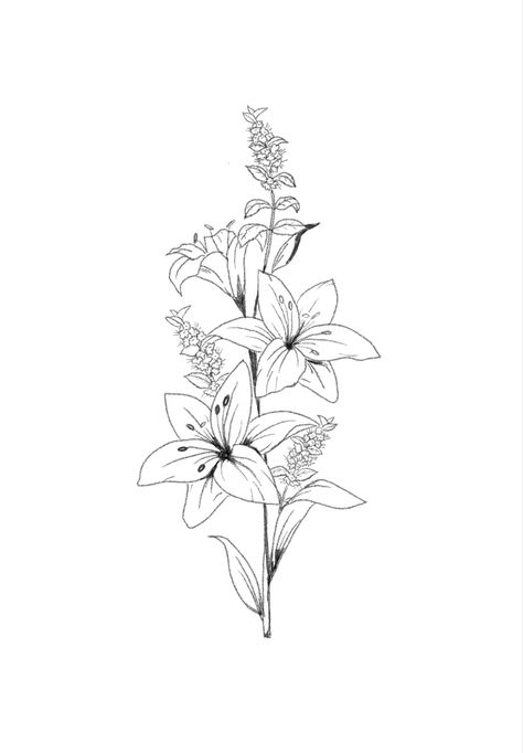 Floral arrangement of lillies and mint flowers drawing Lilly Tattoo Design, Lilly Flower Tattoo, Stargazer Lily Tattoo, Word Tattoo Ideas, Floral Back Tattoos, Lillies Tattoo, Lily Tattoo Design, Lily Flower Tattoos, Floral Thigh Tattoos