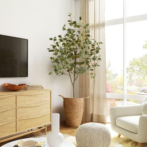 The perfect botanical touch for your living space! This charming faux tree brings the beauty of nature indoors without the hassle of maintenance. The lifelike eucalyptus leaves add a refreshing burst of green to any room, while the sturdy base ensures stability. Whether you're looking to enhance your home office, living room, or even your bedroom, this delightful faux Eucalyptus Tree is a low-maintenance way to infuse cuteness and greenery into your decor. 🌿🌱 Eucalyptus Silver Dollar, Eucalyptus Plant, Faux Eucalyptus, Eucalyptus Leaf, Wood Trunk, Artificial Eucalyptus, Eucalyptus Tree, Faux Tree, Potted Trees