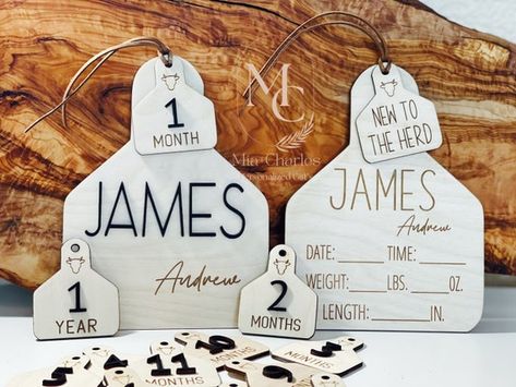 Cow Nursery Theme, New To The Herd, Cow Ear Tag, Cow Nursery, Milestone Markers, Cow Tag, Cow Ears, Cowboy Baby Shower, Monthly Baby Photos