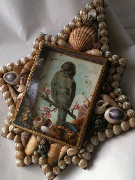 Peggy Green Shell Art Seashell Display Ideas Shadow Box Shell Art, Vintage Gold Shell As Gift, Victorian Shell Art, Shells In Shadow Boxes, Vintage Shell Art, Vintage Gold Shell Gift, Shell Game, Sailors Valentine, Seashell Wall Art