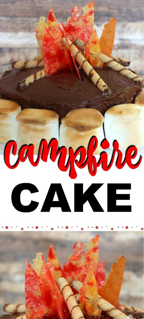 Bonfire Cake, Camping Birthday Cake, Boy Scout Cake, Build A Campfire, Birthday Dinner Recipes, Camper Cakes, Cub Scout Cake, Camping Cake, Campfire Cake