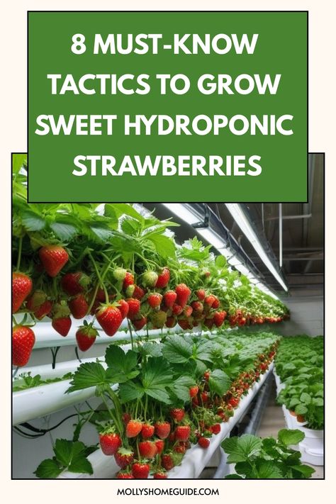 Discover the secrets of growing hydroponic strawberries with our step-by-step guide. Learn how to set up a hydroponic system, choose the right variety of strawberries, and provide proper nutrients for optimal growth. Whether you're a beginner or experienced gardener, our tips will help you cultivate delicious strawberries all year round. Say goodbye to soil gardening and hello to this innovative method that yields juicy berries in abundance! Explore the world of hydroponics and elevate your stra Hydroponic Gardening Diy, Hydroponic Strawberries, Hydroponic Vegetables, Hydroponic Grow Systems, Hydroponic Farming, Hydroponics Diy, Hydroponic Growing, Vertical Farming, Hydroponic Plants