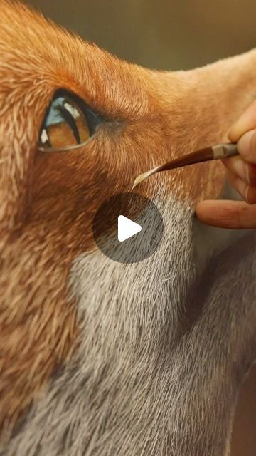 Fox Acrylic Painting Tutorial, Fox Art Drawing, Painting Ideas Animals, Painted Fox, Acrylic Tutorials, Fox Painting, Paint Inspiration, Animal Portraits Art, Liner Brush