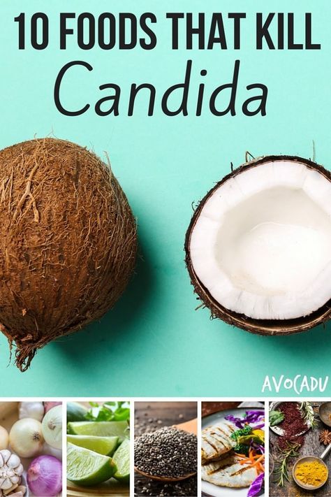 Struggling with a stubborn yeast infection? The Avocadu team shares a list of the top 10 foods that kill candida to give your system a yeast cleanse. Candida Diet Food List, Candida Cleanse Diet, Yeast Cleanse, Get Rid Of Candida, Anti Candida Diet, Candida Recipes, Candida Diet Recipes, Candida Cleanse, Candida Overgrowth