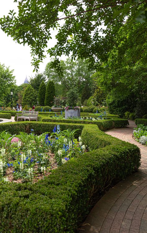 Not only is Atlanta Botanical Garden the loveliest place in all of Atlanta for those like me, who love nature dearly, but it's also a beacon of hope in a world plagued by environmental disasters, pollution, and a lack of scientific understanding. Equal parts research & conservation facility and pleasure garden, Atlanta Botanical Garden is the perfect place to get away from the hustle and bustle of downtown while learning about and supporting the Southeastern Center for Conservation's missio Atlanta Botanical Gardens Photography, Botanical Garden Atlanta, Bestie Summer, Atlanta Botanical Gardens, Pleasure Garden, Visit Atlanta, Orchid House, Travel Georgia, Endangered Plants