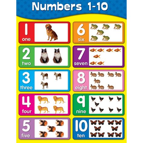 Number Chart For Kindergarten, Number Chart 1-10, Preschool Charts, Free Printable Numbers, Learning Sight Words, Number Chart, Carson Dellosa, Numbers Kindergarten, Learning Cards