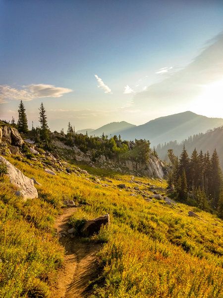 Brighton Utah, Alta Utah, Alta Ski, Albion Basin, Alpine Loop, Old Cabins, Twin Lakes, Michigan City, Alpine Meadow