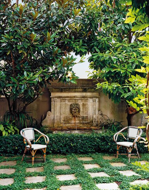 Paul Bangay on the best plants for year-long flowers and how to have a garden in a small space – Vogue Australia Small Courtyard Garden, Courtyard Garden Design, Provence Garden, Small Courtyard, Small Courtyard Gardens, Courtyard Gardens Design, Small Patio Garden, Small Courtyards, Garden Design Ideas