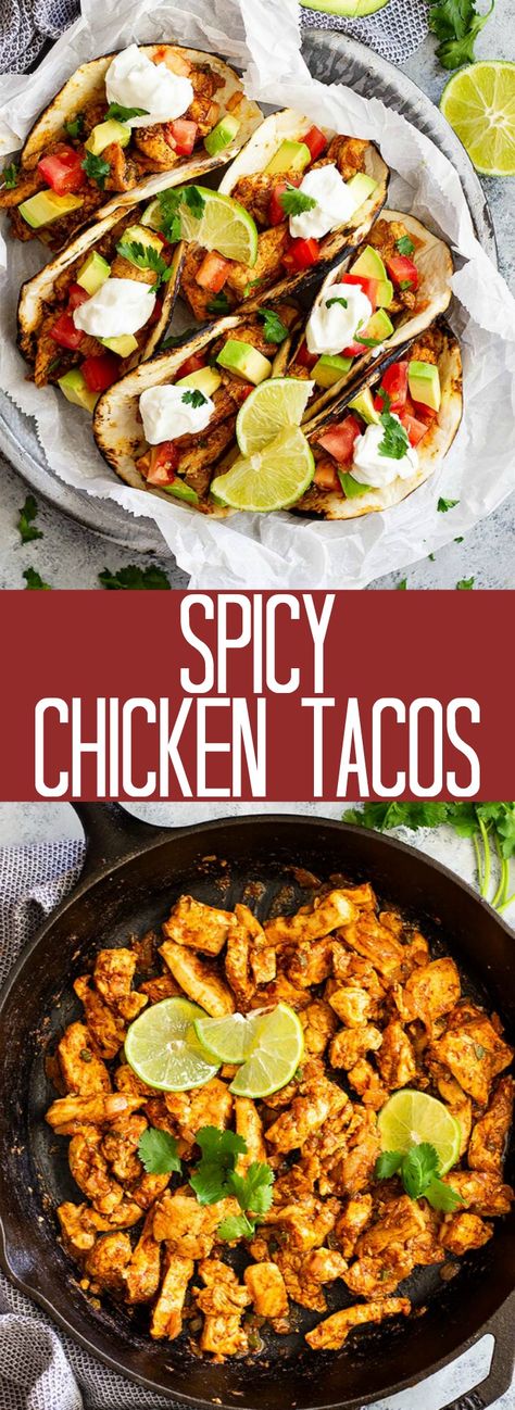 Spicy Chicken Avocado Tacos, Spicy Chicken Dinner Ideas, Cajun Chicken Tacos, Spicy Chicken Tacos Crockpot, Spicy Taco Recipes, Spicy Shredded Chicken Tacos, Spicy Chicken Tacos Recipes, Spicy Chicken Taco, Authentic Chicken Tacos