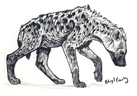 Mouth Drawing Reference, Hyena Tattoo, Spotted Hyena, Mouth Drawing, Animal Drawings Sketches, Snake Art, Canine Art, Desenho Tattoo, Wild Dogs