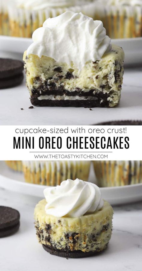 Easy Oreo Cheesecake Cupcakes, Mini Oreo Cheesecake Cupcakes No Bake, Oreo Cookie Cheesecake Cups, Cookies And Cream Mini Cheesecakes, Oreo Crust Mini Cheesecake, Oreo Crust Mini Cheesecake Bites, Cheesecake With Oreo Cookie Crust, Oreo Flavored Desserts, What To Make With Oreo Cookies