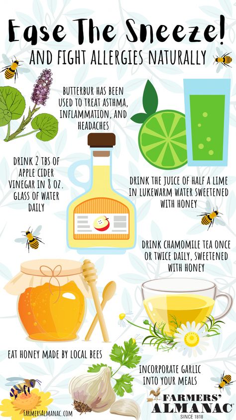 Got seasonal allergies? Ease the sneeze with these tried-and-true home remedies for natural allergy relief! You'll find many of these in your pantry... Sneezing Remedies, Natural Allergy Relief Remedies, Stop Sneezing, Natural Allergy Relief, Apple Cider Drink, Home Remedies For Allergies, Best Cough Remedy, Dry Cough Remedies, Allergy Remedies