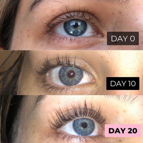 Eyelash Aesthetic, Serum For Lashes, Lashes Serum, Natural Eyelash Growth, Double Lashes, Desired Body, Wax Roller, Brown Hairstyles, Serum Skincare