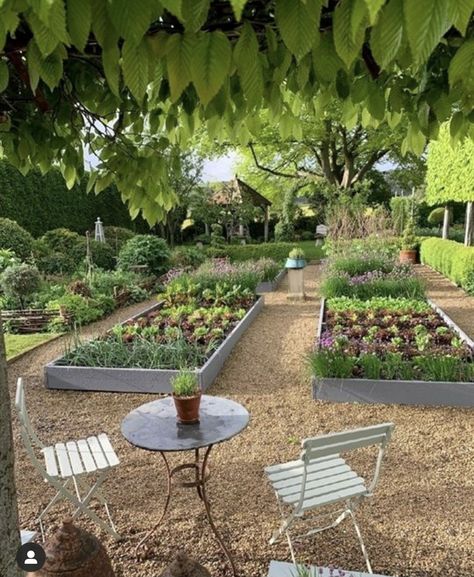 Terry Winters, Vegetable Patch, Veg Patch, Potager Garden, Vegetable Gardens, Garden Veggies, Veg Garden, Home Vegetable Garden, Small Cottage