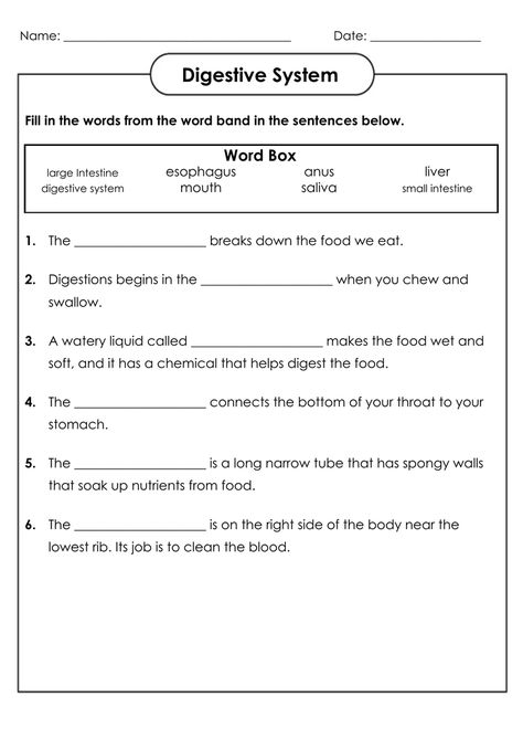 4th Grade Science Worksheets - Best Coloring Pages For Kids Digestive System Worksheet For Grade 4, Science Worksheet For Grade 5, Grade 4 Science Worksheets, Science Worksheets For 4th Grade, 4th Grade Science Worksheets, 6th Grade Science Worksheets, Digestive System Worksheet, Free Science Worksheets, Human Body Worksheets