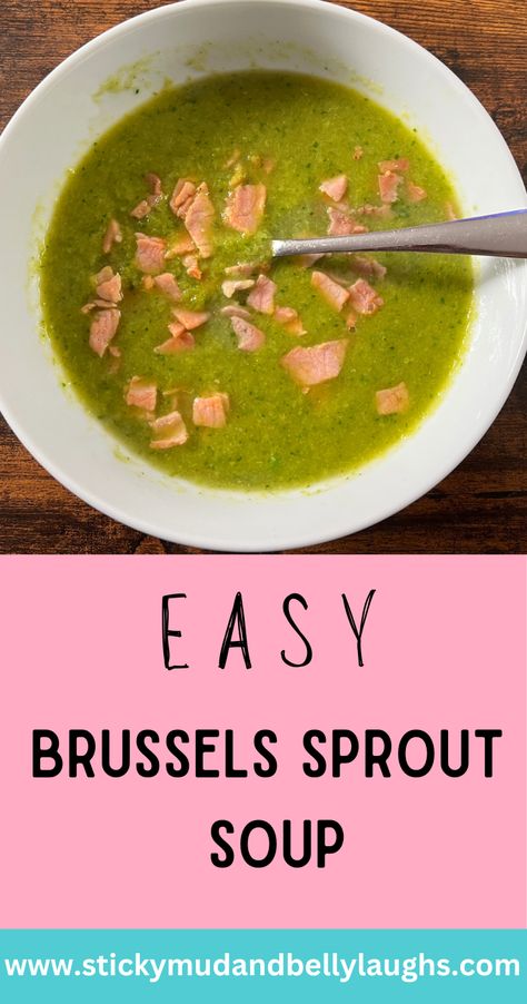 This Easy Brussels Sprout Soup recipe is a warm, comforting dish perfect for any day of the week. Packed with flavour and simple ingredients, it's a quick way to enjoy a healthy meal that the whole family will love. #sproutsoup #easysouprecipes #souprecipes #wintermeals #stickymudandbellylaughs Brussels Sprouts Soup, Brussel Sprout Meals, Brussels Sprouts Soup Recipe, Sprout Soup, Pork Noodles, Low Calorie Cooking, Speed Foods, Brussels Sprout, Slow Cooker Beef Stew