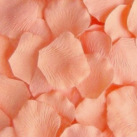 Pin/donisiavashan 🍑🤍 Colour Wallpaper, Color Durazno, Monochromatic Art, Peach Wallpaper, Peach Colour, Peach Aesthetic, Light Blue Aesthetic, Color Vibe, Rainbow Aesthetic