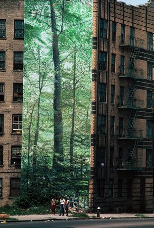 Mural of a forest in the south Bronx NYC. Inserted a large image of a foreest contrasts with and highlights the urban area surrounding it. RCL Bronx Nyc, Forest Mural, Bronx New York, 3d Street Art, Murals Street Art, Magnum Photos, Concrete Jungle, Arte Popular, Street Art Graffiti