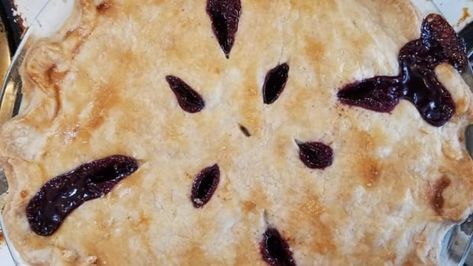 'Not too sweet, not too tart' this Saskatoon berry pie is perfect | CBC News Blueberry Lemon Pie Recipe, Black Raspberry Pie, Saskatoon Berry Pie, Saskatoon Berry, Raspberry Pie, Berry Pie, Homemade Pie Crusts, Lemon Pie, Perfect Pies