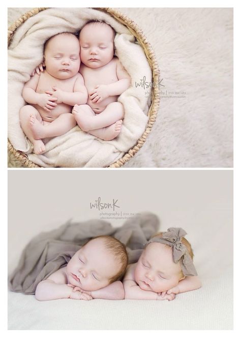 6 week old twins :) Wilson k photography 6 Month Old Twins Photography, Twin Portraits, Twin Babies Pictures, Twin Baby Photography, Twin Baby Photos, Twin Newborn, Newborn Twins Photography, Mommy And Baby Pictures, Twin Photography