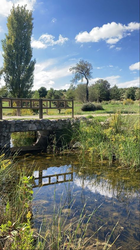 plants, river, paradise, green, garden, stones, small bridge Sims Exterior, Small Bridge, Rural Land, River Bed, Grass Field, Green Garden, Future Plans, Garden Stones, The Neighbourhood