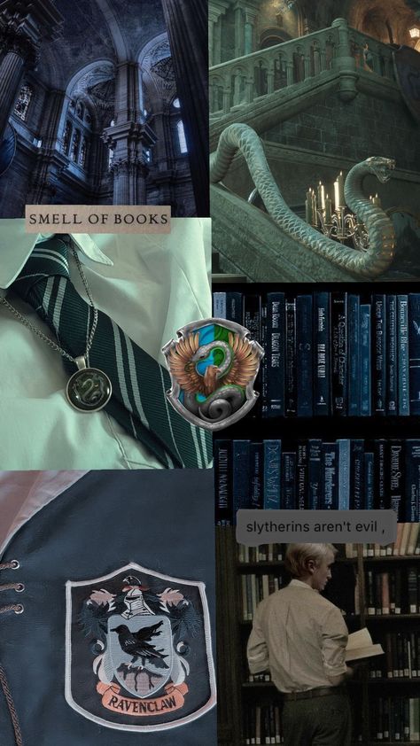 raverin/slytherclaw #ravenclaw #slytherin #harrypotter Draco X Ravenclaw, Slytherin Ravenclaw Aesthetic, Ravenclaw Girl X Slytherin Boy, Slytherclaw Wallpaper, Slytherin X Ravenclaw Aesthetic, Ravenclaw And Slytherin Relationship, Slytherin X Ravenclaw, Ravenclaw X Slytherin, Ravenclaw Boys