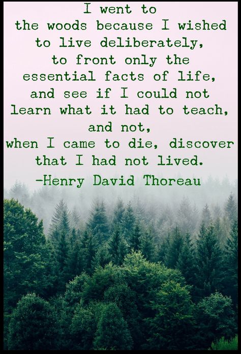 Thoreau Quotes Walden, Prom Quotes, Backpacking Inspiration, Love Nature Quotes, David Thoreau Quotes, Live Deliberately, Citation Nature, Henry David Thoreau Quotes, Thoreau Quotes